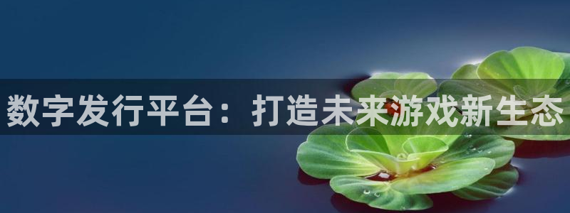 新宝GG子文化创意有限公司：数字发行平台：打造未来游戏新生态