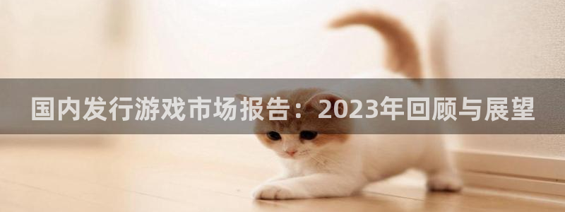 新宝GG酒庄：国内发行游戏市场报告：2023年回顾与展望