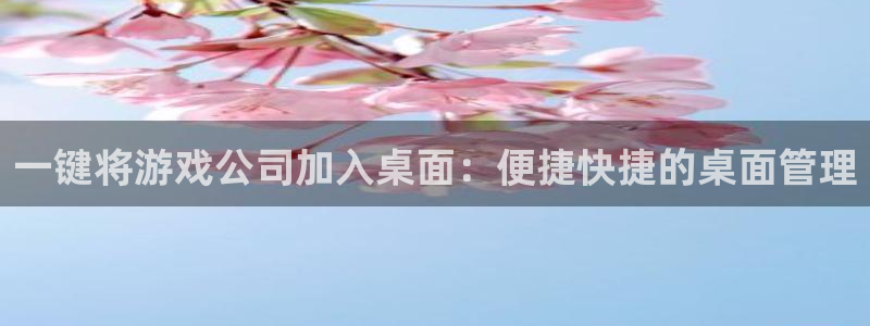新宝GG官网招商主管