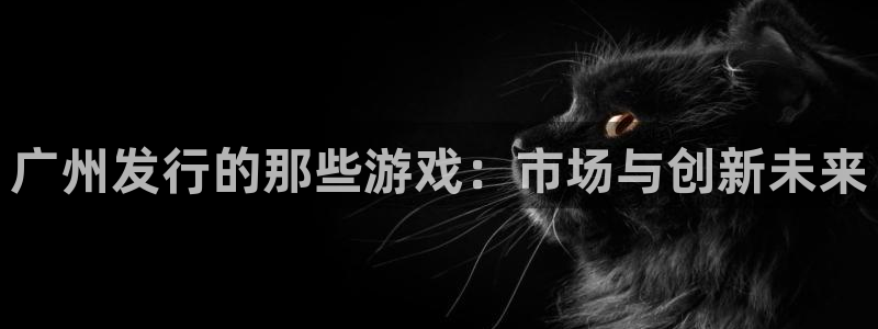 苏州新宝GG网络科技有限公司：广州发行的那些游戏：市场与创新未来