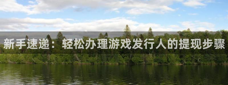 新宝GG运动装有哪些品牌：新手速递：轻松办理游戏发行人的提现步骤