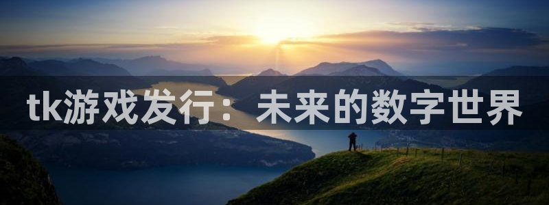 东莞新宝GG信息科技有限公司：tk游戏发行：未来的数字世界