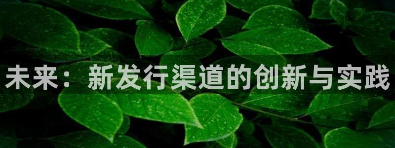 新宝GG电商怎么样可靠吗：未来：新发行渠道的创新与实践