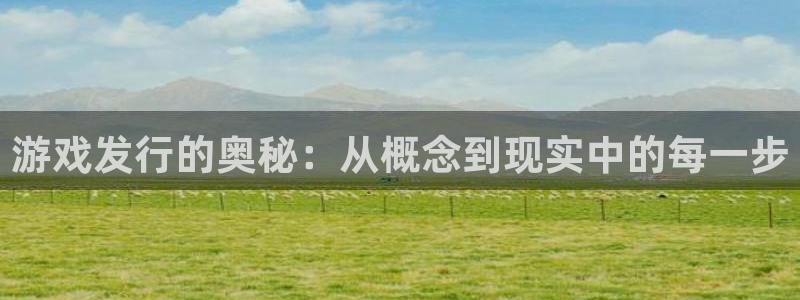 深圳新宝GG电商：游戏发行的奥秘：从概念到现实中的每一步