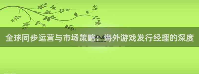 新宝GG品牌顾问有限公司：全球同步运营与市场策略：海外游戏发行经理的深度