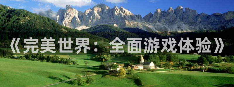 新宝GG官网登录注册账号安全吗安全吗：《完美世界：全面游戏体验》